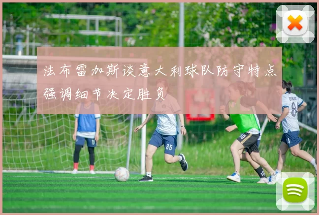 法布雷加斯谈意大利球队防守特点强调细节决定胜负