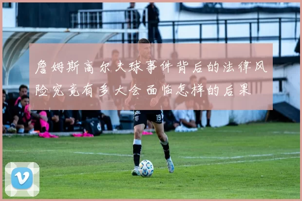 詹姆斯高尔夫球事件背后的法律风险究竟有多大会面临怎样的后果